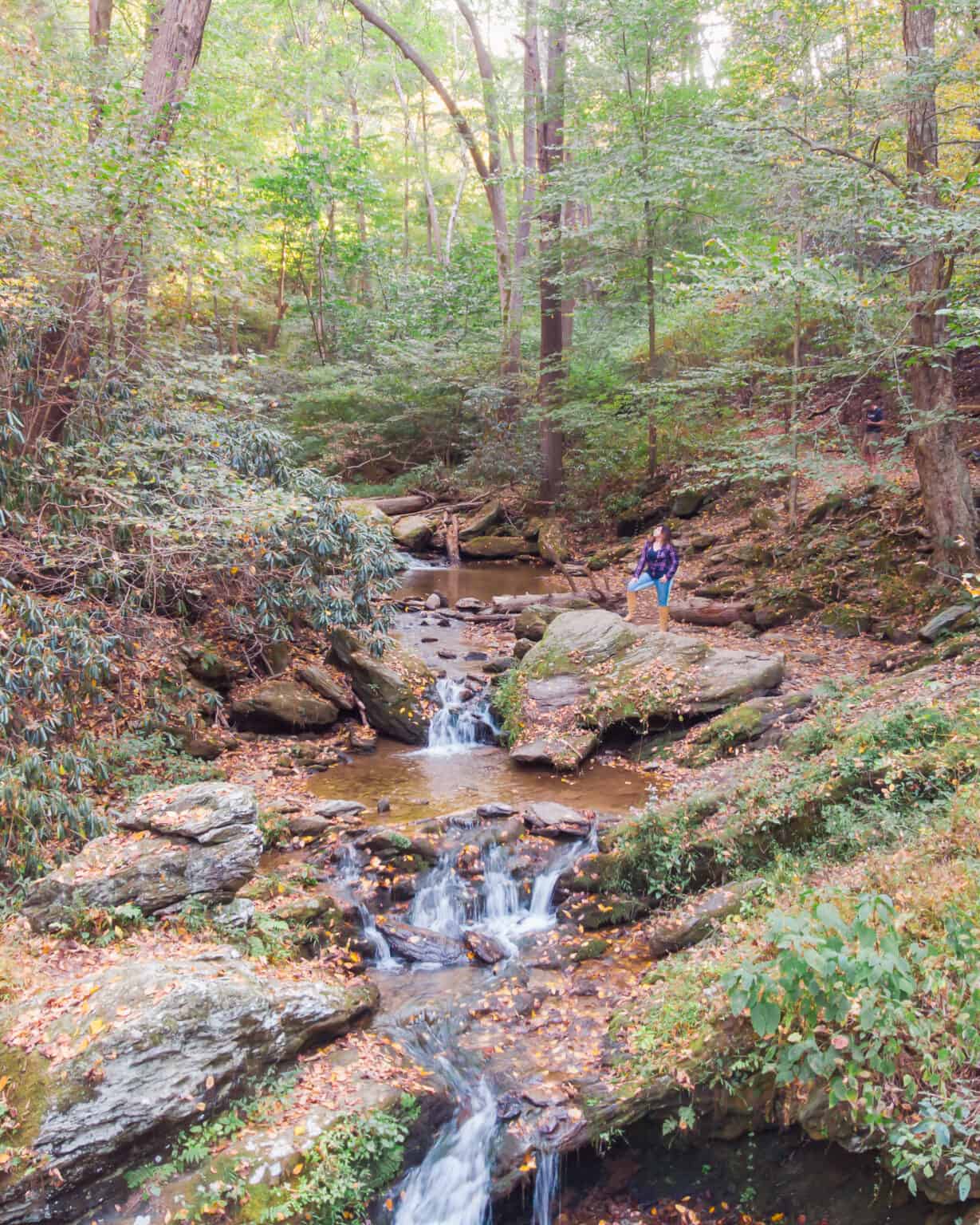 How to Find the Best Fall Foliage in PA - Wild Precious Now